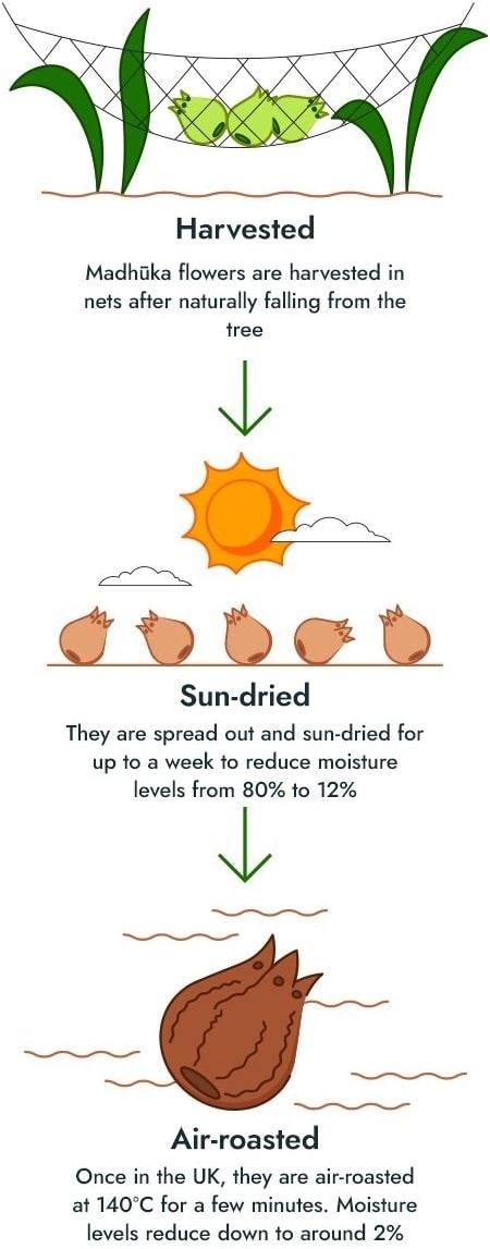 Harvest, Sun-Dried, Air Roasted